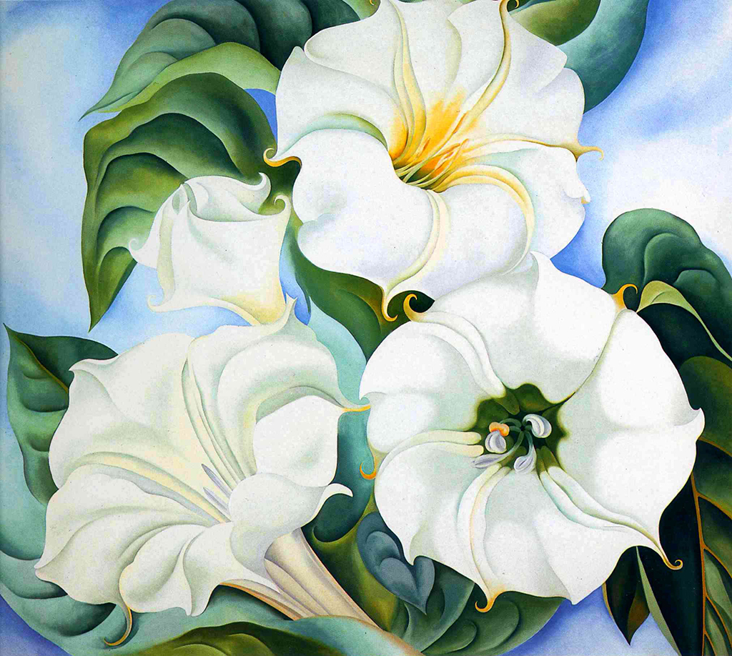 Jimson Weed in Detail Georgia O'Keeffe